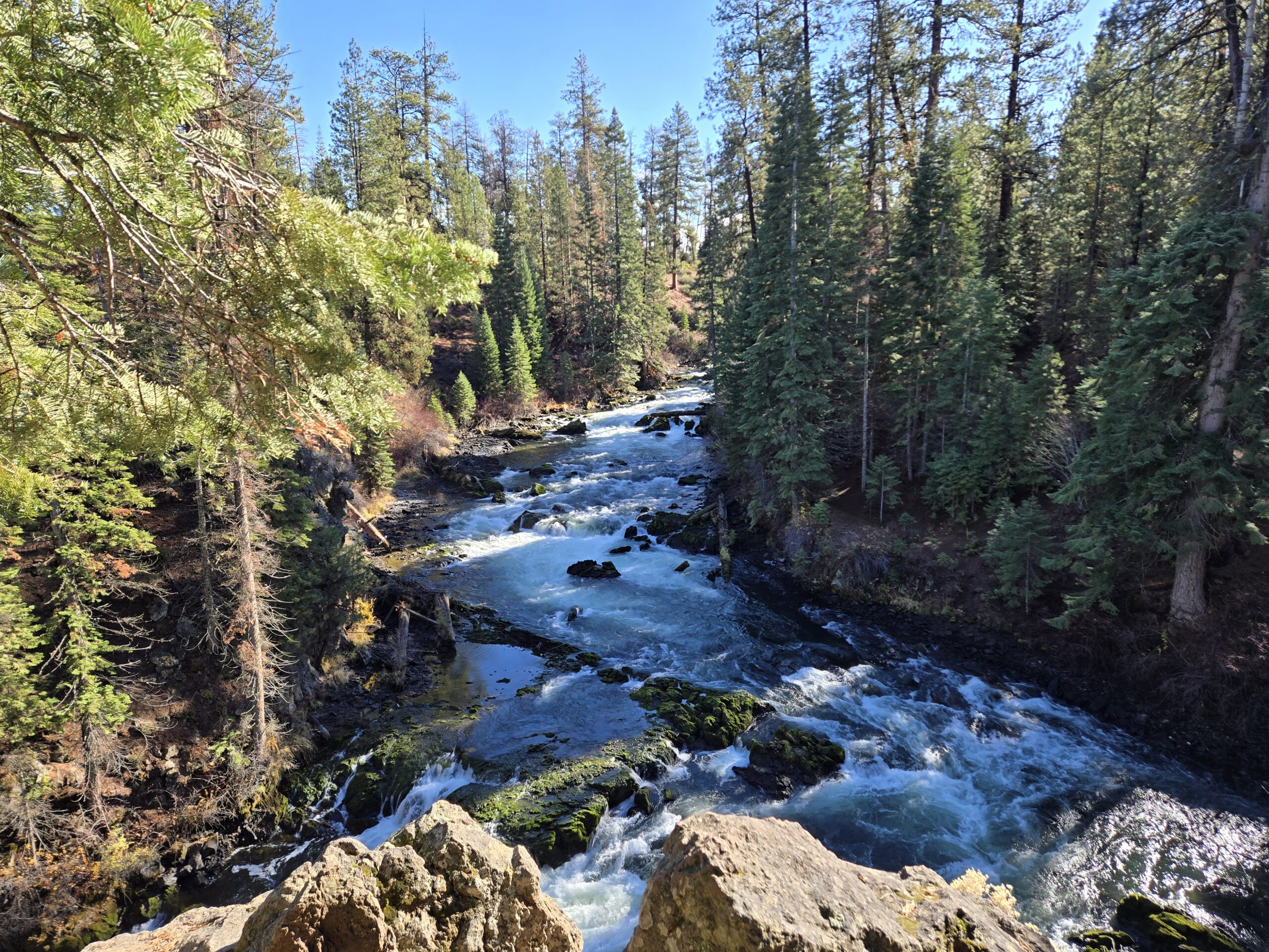 Benham Falls flowing through bedrock
