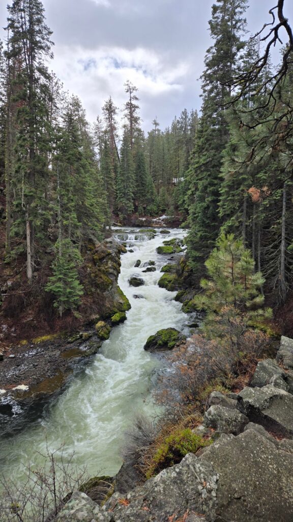 Benham Falls demonstrating the Deschutes' resilience through adversity