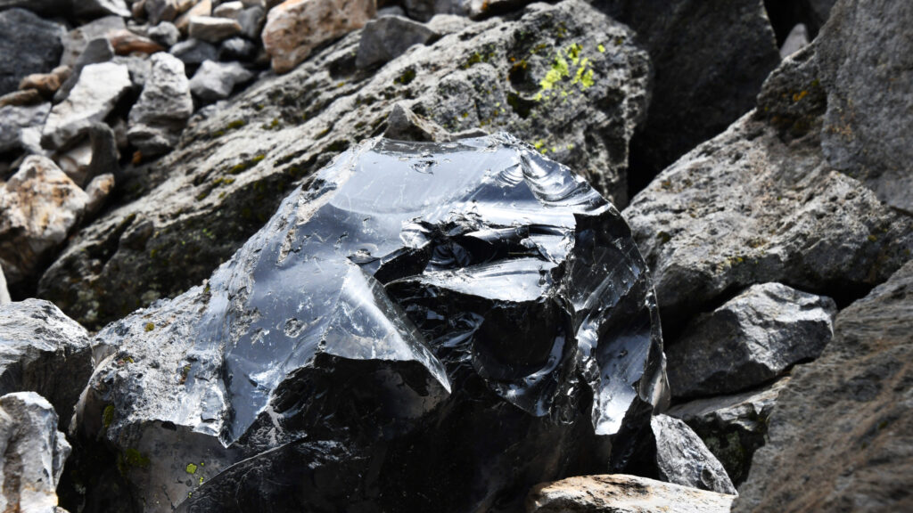 Chunk of Obsidian at Newberry Volcano.